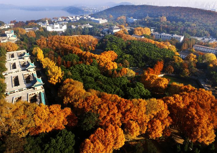 武漢大學(xué)宣布"無需預(yù)約"之后:全國(guó)媒體點(diǎn)贊,學(xué)生認(rèn)為"一些問題得到了