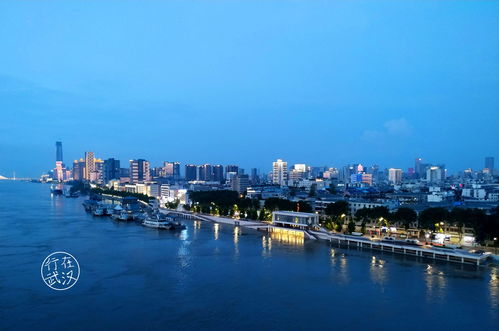 從一線城市回武漢,你后悔嗎